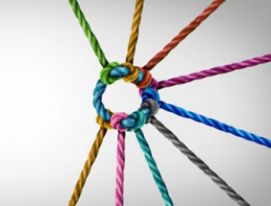 Nine different coloured pieces of string joining together in a multi-coloured circle.